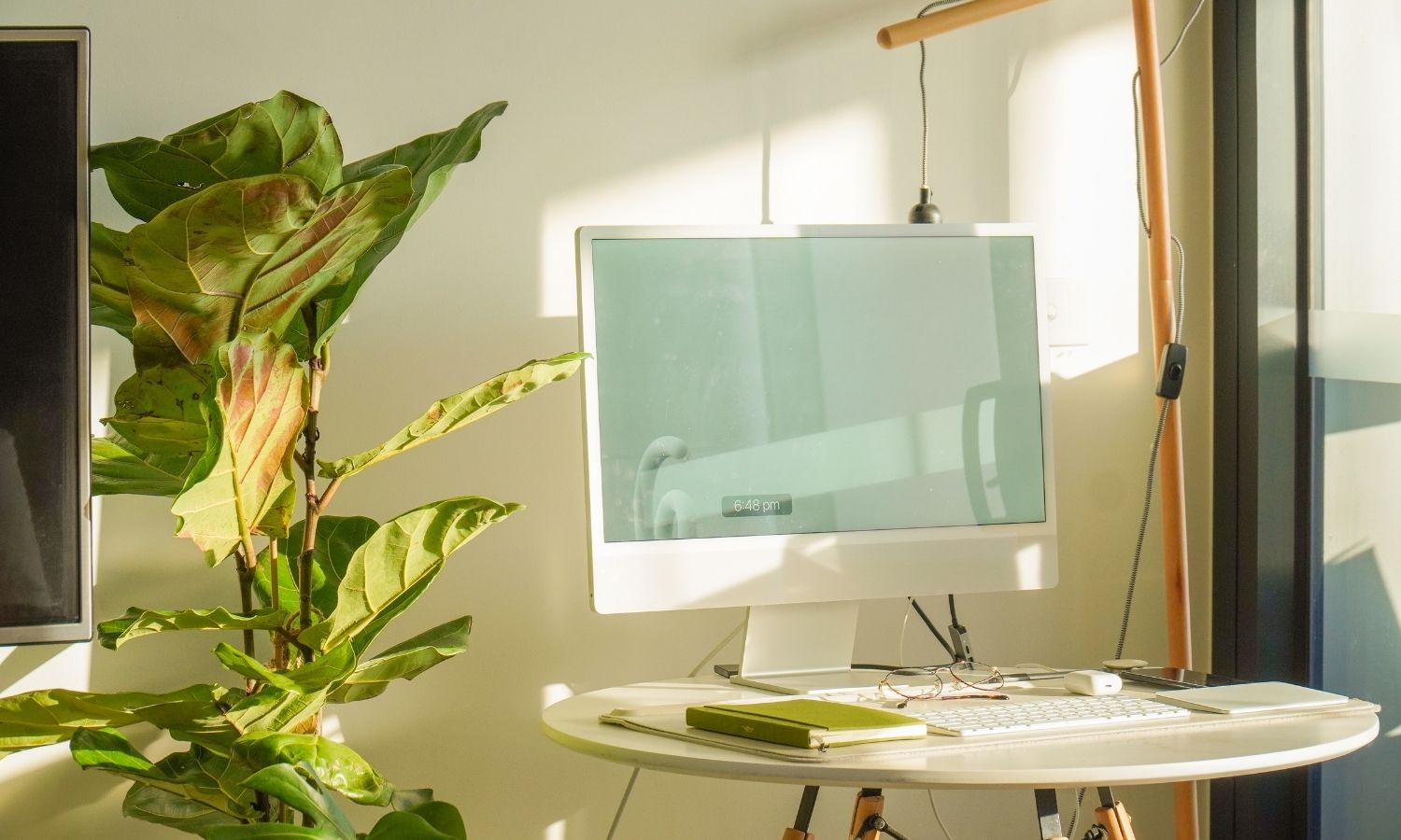 Beginner freelancer-how to start freelancing